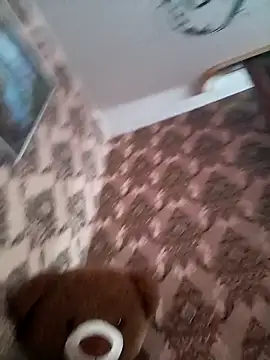 Snapshot of LeilaSaint chatting on 11, 11, 2025 LeilaSaint online show from 11, 11, 2025