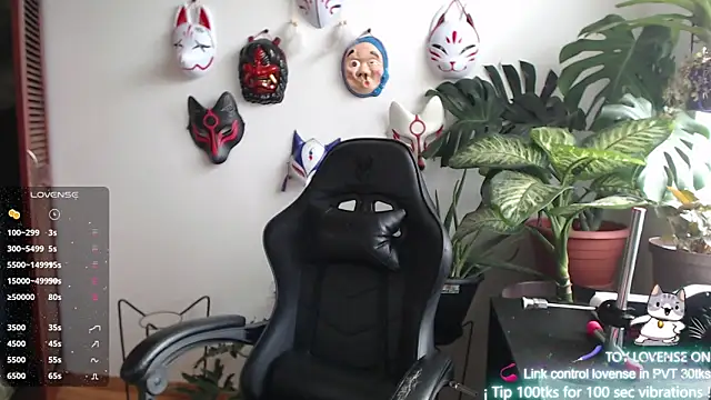 cat salo online show from 19, 12, 2024