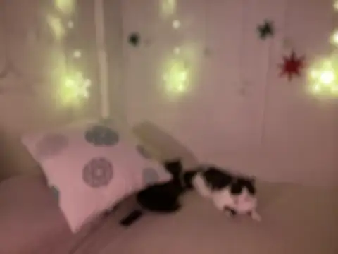 Snapshot of Im_sophiie chatting on 19, 12, 2024 Im sophiie online show from 19, 12, 2024