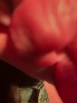 Snapshot of Im_sophiie chatting on 13, 2, 2025 Im sophiie online show from 13, 2, 2025