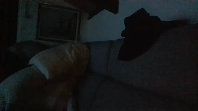 davigochi77bcn online show from 20, 2, 2026