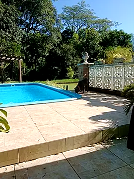 Snapshot of dutra498 chatting on 9, 2, 2026 dutra498 online show from 9, 2, 2026