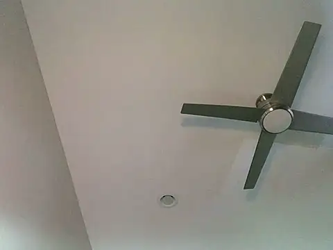 Londonfrotadejr online show from 7, 3, 2025