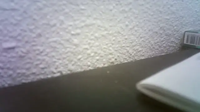 Snapshot of pau65vb chatting on 19, 11, 2025 pau65vb online show from 19, 11, 2025