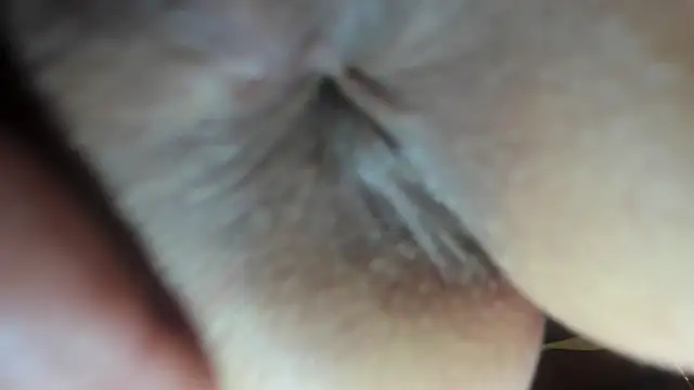 Snapshot of FrumCake chatting on 21, 12, 2024 FrumCake online show from 21, 12, 2024