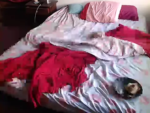 Snapshot of deftoolceles chatting on 23, 3, 2026 deftoolceles online show from 23, 3, 2026