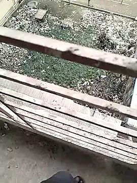 Snapshot of chittagong77 chatting on 22, 2, 2026 chittagong77 online show from 22, 2, 2026