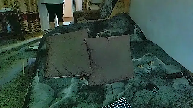 Snapshot of sex2 chatting on 17, 11, 2025 sex2 online show from 17, 11, 2025