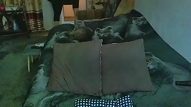 Snapshot of sex2 chatting on 4, 12, 2025 sex2 online show from 4, 12, 2025