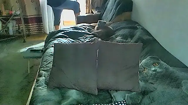 sex2 online show from 8, 3, 2026