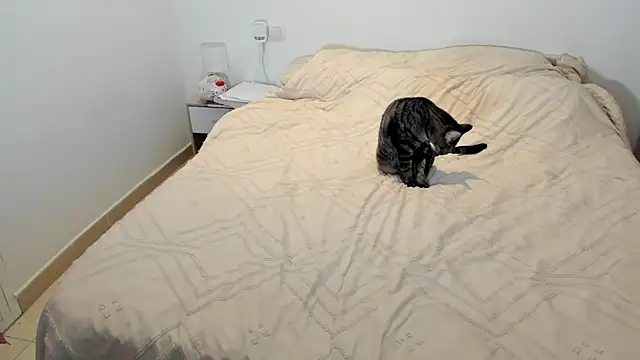 Snapshot of MariaMeir chatting on 10, 1, 2026 MariaMeir online show from 10, 1, 2026