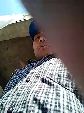 Snapshot of Pitercom chatting on 19, 3, 2025 Pitercom online show from 19, 3, 2025