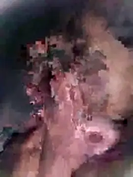 Snapshot of Pitercom chatting on 18, 10, 2025 Pitercom online show from 18, 10, 2025