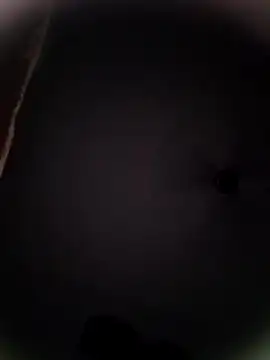 Snapshot of Pitercom chatting on 19, 10, 2025 Pitercom online show from 19, 10, 2025