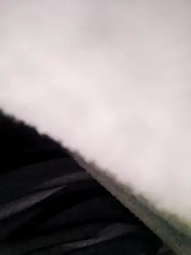 Snapshot of Pitercom chatting on 10, 11, 2025 Pitercom online show from 10, 11, 2025