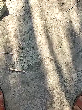 Snapshot of Pitercom chatting on 12, 11, 2025 Pitercom online show from 12, 11, 2025