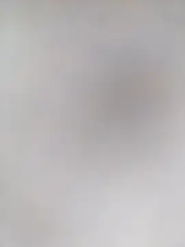 Snapshot of Pitercom chatting on 16, 11, 2025 Pitercom online show from 16, 11, 2025