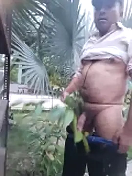 Pitercom online show from 3, 4, 2026