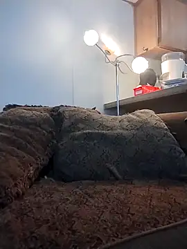 Snapshot of Yankeedave420 chatting on 16, 3, 2026 Yankeedave420 online show from 16, 3, 2026