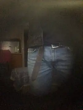 translove online show from 16, 12, 2024