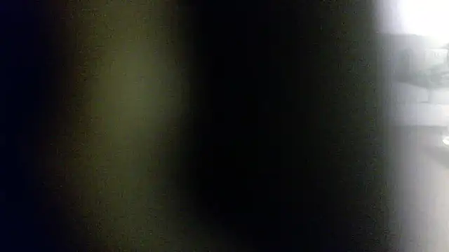 Snapshot of palidin1 chatting on 1, 2, 2026 palidin1 online show from 1, 2, 2026