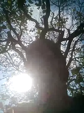 Snapshot of Mohni_Das chatting on 25, 3, 2026 Mohni Das online show from 25, 3, 2026