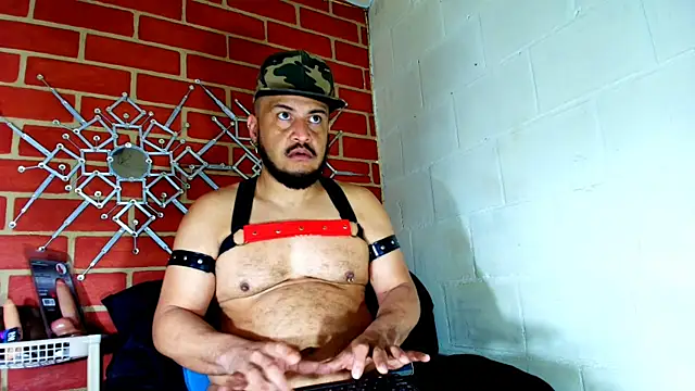 the master foal  online show from 19, 11, 2025