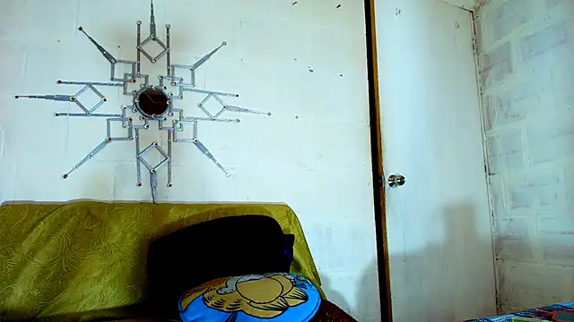 the master foal  online show from 20, 12, 2025