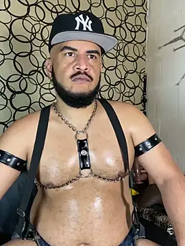 the master foal  online show from 12, 3, 2026