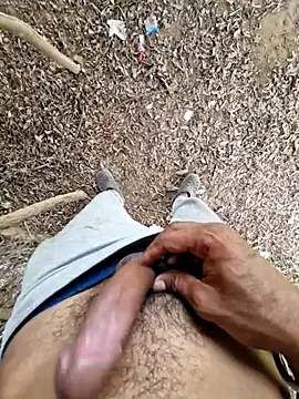 breejs online show from 27, 9, 2025