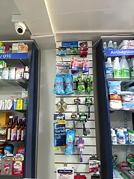 roouse online show from 29, 1, 2025