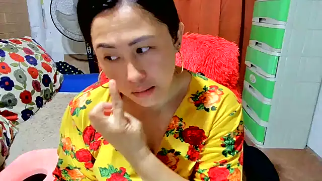 M e c e l online show from 19, 9, 2025