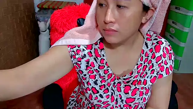 M e c e l online show from 6, 11, 2025