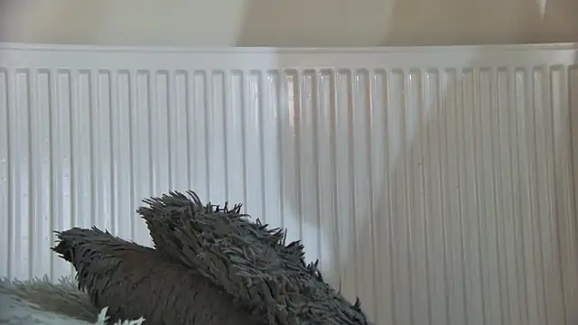 Snapshot of curvyana69 chatting on 5, 1, 2026 curvyana69 online show from 5, 1, 2026