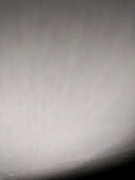 Snapshot of Annerae chatting on 9, 4, 2026 Annerae online show from 9, 4, 2026