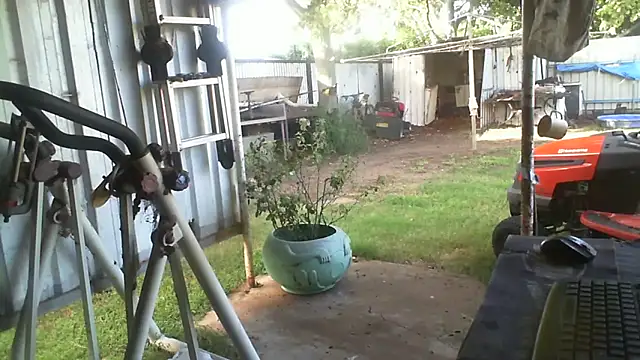 herbie010666 online show from 2, 3, 2026