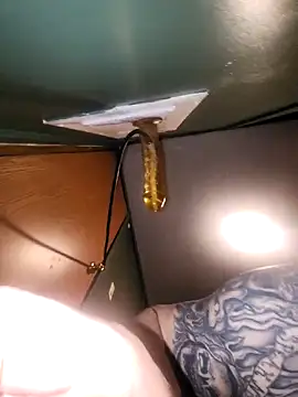 Loosegoose90 online show from 27, 2, 2026