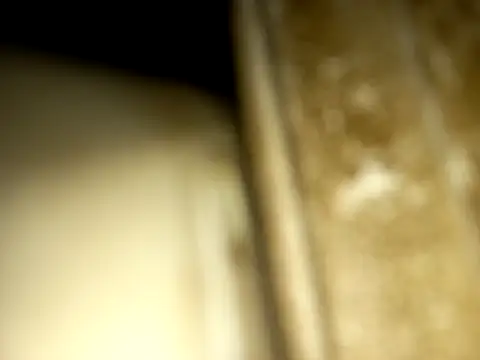 Snapshot of jonjob44 chatting on 14, 12, 2025 jonjob44 online show from 14, 12, 2025