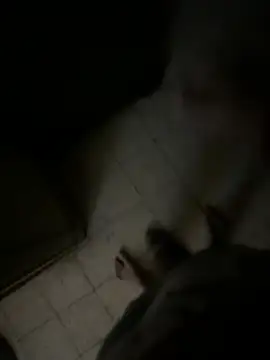 Snapshot of Dedoow chatting on 6, 4, 2026 Dedoow online show from 6, 4, 2026