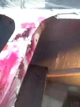 Wero4200 online show from 2, 3, 2026