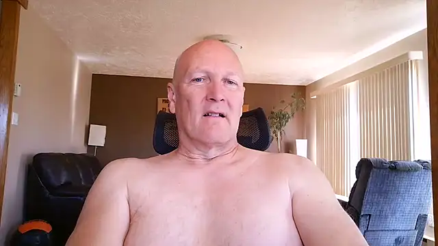BasicAnt online show from 23, 5, 2026