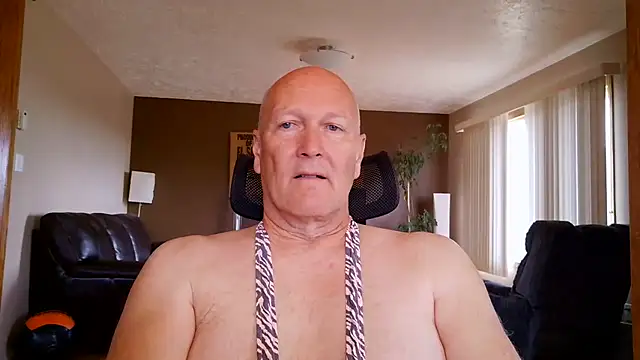 BasicAnt online show from 3, 6, 2026