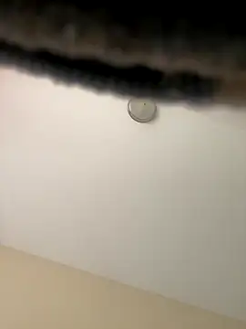 Snapshot of Iced_cloudz chatting on 14, 12, 2025 Iced cloudz online show from 14, 12, 2025