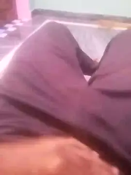 Desi bbc7 online show from 19, 12, 2024