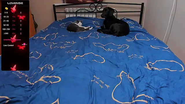 eva zero online show from 5, 10, 2025