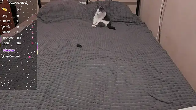 eva zero online show from 28, 3, 2026