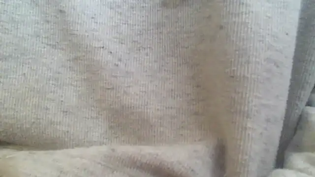 OralDesires2 online show from 17, 2, 2025