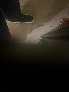 dingoding online show from 8, 1, 2025