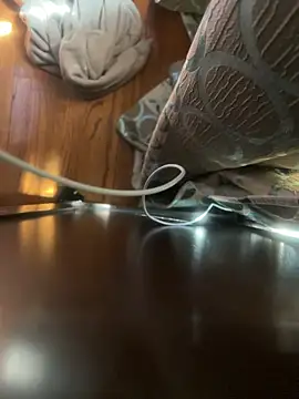 dingoding online show from 16, 4, 2026