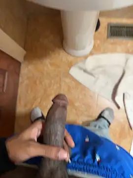 Snapshot of dingoding chatting on 13, 5, 2026 dingoding online show from 13, 5, 2026